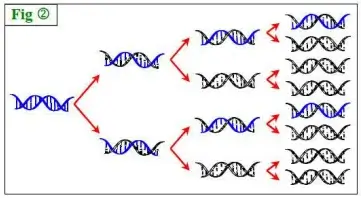 Nature de l’information génétique